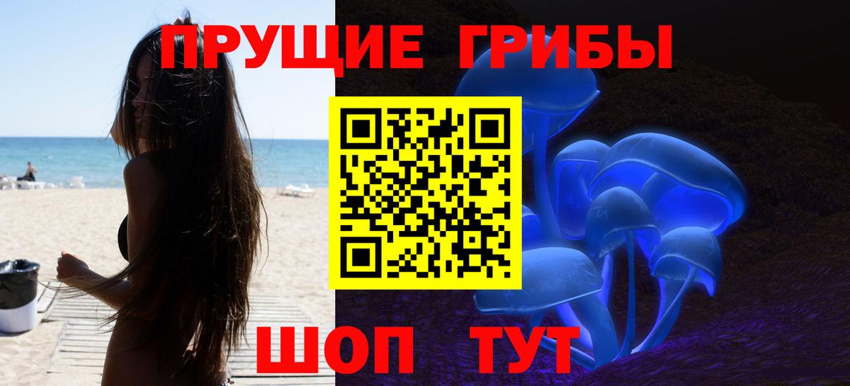 Псилоцибиновые грибы Cubensis  Вход с VPN  Псилоцибиновые грибы мицелий  Вологда 
